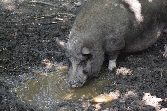 而是我的家 而是我的家