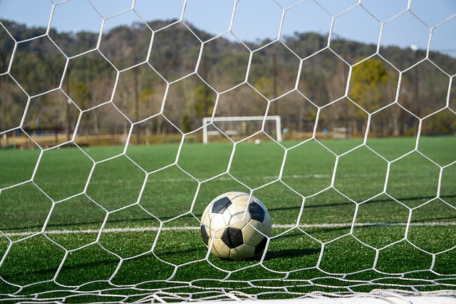 天赋与努力 天赋与努力