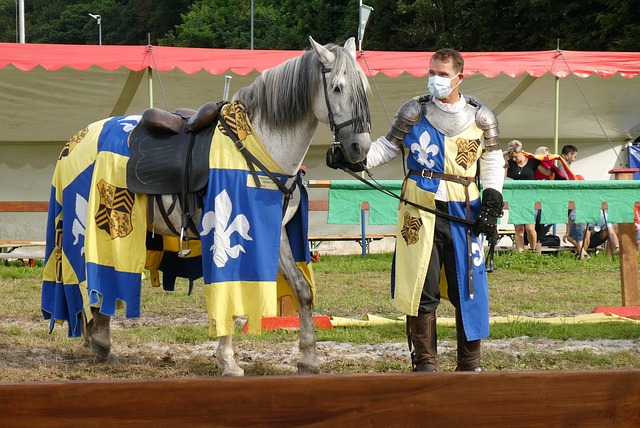 體育史冊上 體育史冊上
